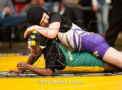 Thumbnail 1 in CIF SJS Girls District Wrestling Championships photogallery.