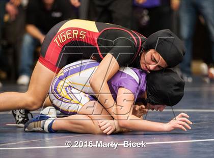 Thumbnail 2 in CIF SJS Girls District Wrestling Championships photogallery.