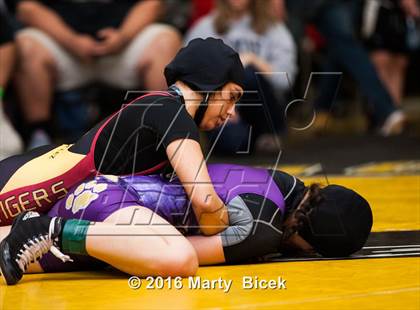 Thumbnail 2 in CIF SJS Girls District Wrestling Championships photogallery.