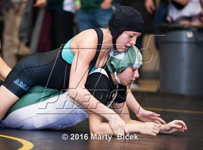 Thumbnail 1 in CIF SJS Girls District Wrestling Championships photogallery.