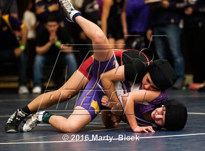 Thumbnail 1 in CIF SJS Girls District Wrestling Championships photogallery.