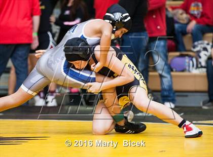Thumbnail 1 in CIF SJS Girls District Wrestling Championships photogallery.