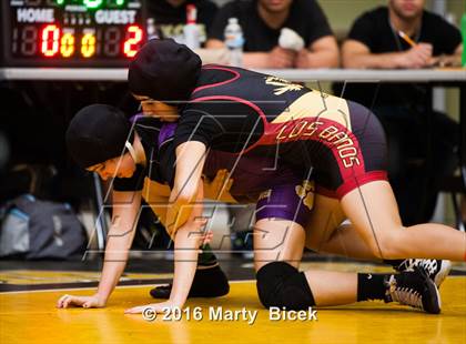 Thumbnail 3 in CIF SJS Girls District Wrestling Championships photogallery.
