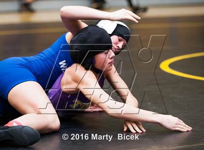 Thumbnail 3 in CIF SJS Girls District Wrestling Championships photogallery.