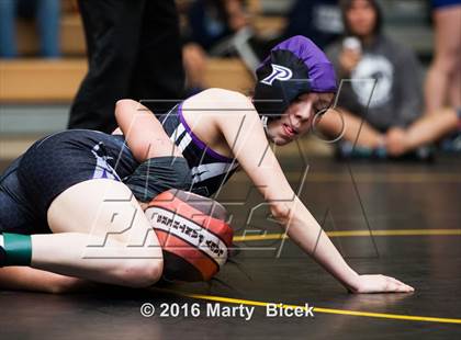 Thumbnail 3 in CIF SJS Girls District Wrestling Championships photogallery.