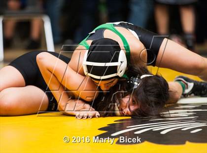 Thumbnail 1 in CIF SJS Girls District Wrestling Championships photogallery.