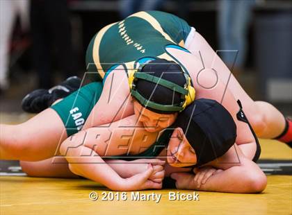 Thumbnail 3 in CIF SJS Girls District Wrestling Championships photogallery.