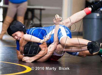 Thumbnail 2 in CIF SJS Girls District Wrestling Championships photogallery.
