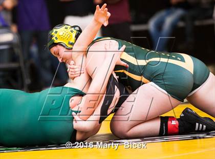 Thumbnail 1 in CIF SJS Girls District Wrestling Championships photogallery.