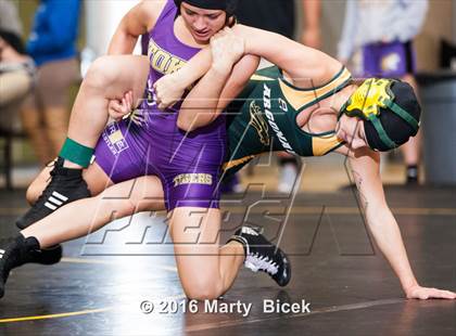 Thumbnail 3 in CIF SJS Girls District Wrestling Championships photogallery.