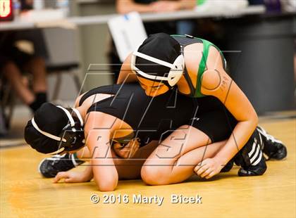 Thumbnail 1 in CIF SJS Girls District Wrestling Championships photogallery.