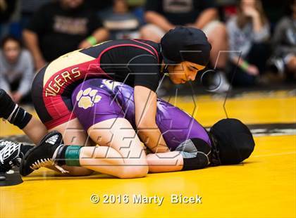 Thumbnail 1 in CIF SJS Girls District Wrestling Championships photogallery.