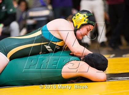 Thumbnail 2 in CIF SJS Girls District Wrestling Championships photogallery.