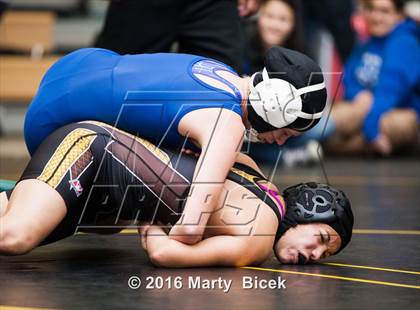 Thumbnail 1 in CIF SJS Girls District Wrestling Championships photogallery.
