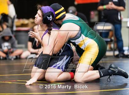 Thumbnail 3 in CIF SJS Girls District Wrestling Championships photogallery.