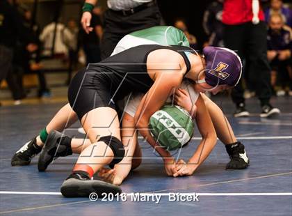 Thumbnail 1 in CIF SJS Girls District Wrestling Championships photogallery.
