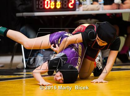 Thumbnail 1 in CIF SJS Girls District Wrestling Championships photogallery.