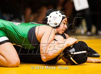 Thumbnail 3 in CIF SJS Girls District Wrestling Championships photogallery.