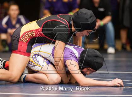 Thumbnail 1 in CIF SJS Girls District Wrestling Championships photogallery.