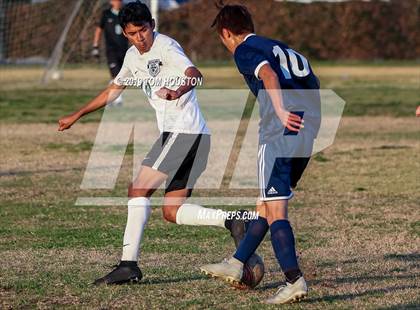 Thumbnail 2 in Schurr @ Alhambra photogallery.