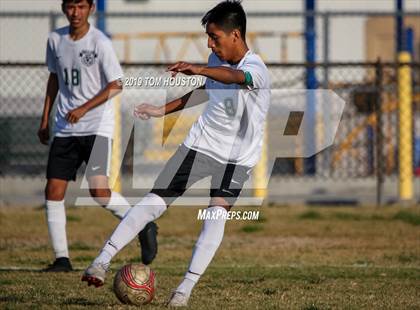Thumbnail 1 in Schurr @ Alhambra photogallery.