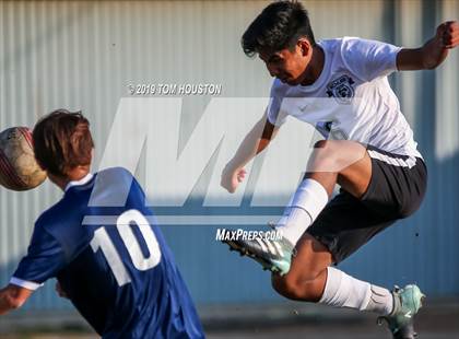 Thumbnail 3 in Schurr @ Alhambra photogallery.