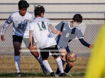 Thumbnail 1 in Schurr @ Alhambra photogallery.
