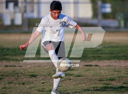 Thumbnail 2 in Schurr @ Alhambra photogallery.