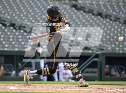 Thumbnail 1 in Seminole vs. Pleasant Grove (UIL Baseball 4A D1 Semifinal Game 1) photogallery.