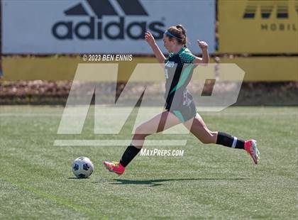 Thumbnail 3 in Trinity Christian vs McIntosh (5A Region 3 Final) photogallery.