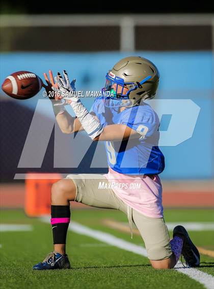 Thumbnail 3 in Chatsworth @ El Camino Real photogallery.