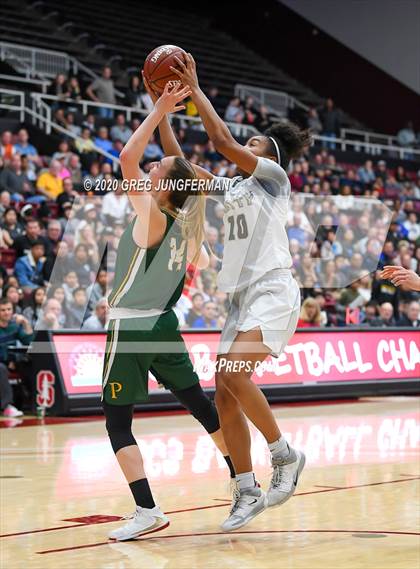 Thumbnail 1 in Archbishop Mitty vs. Pinewood (CIF CCS Open Division Final) photogallery.