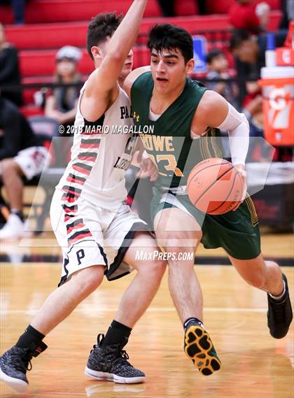 Thumbnail 3 in Rowe @ Palmview photogallery.