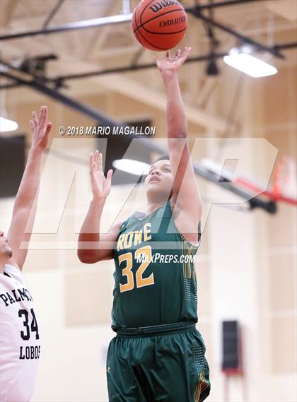 Thumbnail 1 in Rowe @ Palmview photogallery.