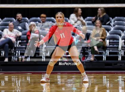 Thumbnail 3 in Columbus vs. Gunter (UIL 3A Volleyball Semi-Final) photogallery.