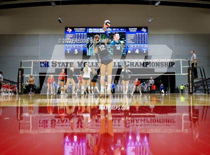 Thumbnail 1 in Columbus vs. Gunter (UIL 3A Volleyball Semi-Final) photogallery.