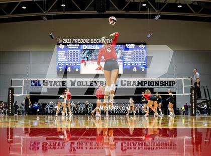 Thumbnail 3 in Columbus vs. Gunter (UIL 3A Volleyball Semi-Final) photogallery.