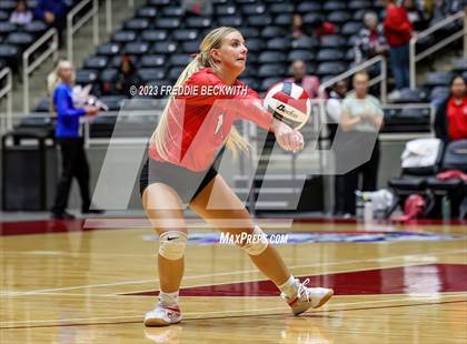 Thumbnail 2 in Columbus vs. Gunter (UIL 3A Volleyball Semi-Final) photogallery.