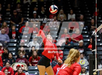 Thumbnail 3 in Columbus vs. Gunter (UIL 3A Volleyball Semi-Final) photogallery.