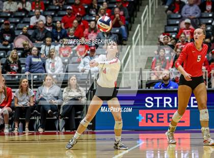Thumbnail 3 in Columbus vs. Gunter (UIL 3A Volleyball Semi-Final) photogallery.