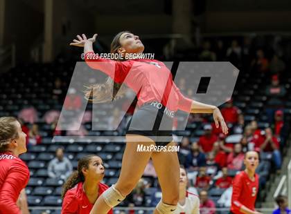 Thumbnail 3 in Columbus vs. Gunter (UIL 3A Volleyball Semi-Final) photogallery.