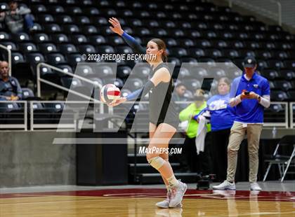 Thumbnail 1 in Columbus vs. Gunter (UIL 3A Volleyball Semi-Final) photogallery.