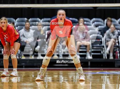 Thumbnail 3 in Columbus vs. Gunter (UIL 3A Volleyball Semi-Final) photogallery.