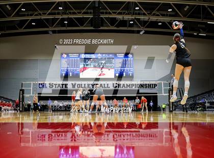 Thumbnail 3 in Columbus vs. Gunter (UIL 3A Volleyball Semi-Final) photogallery.