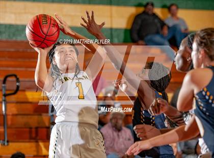 Thumbnail 1 in Cape Fear @ Pine Forest photogallery.