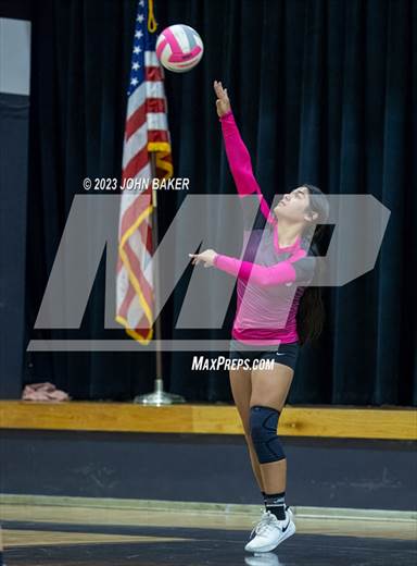2023 - Photo #8