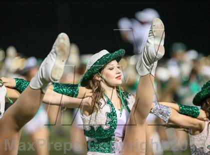 Thumbnail 1 in Arlington @ Marcus photogallery.