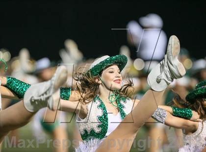 Thumbnail 3 in Arlington @ Marcus photogallery.