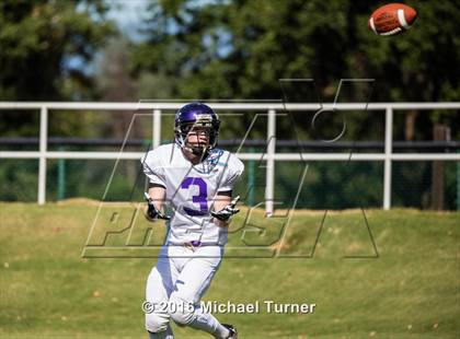Thumbnail 3 in 39th Annual  Lions All-Star Game  photogallery.