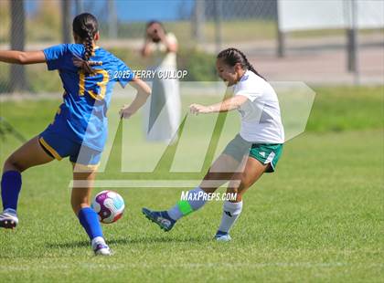 Thumbnail 1 in Provo @ Orem photogallery.